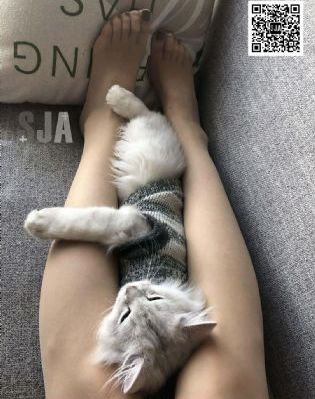 你的约定电影免费观看国语