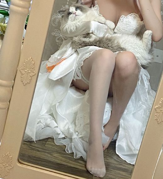 《花与罪》在线观看