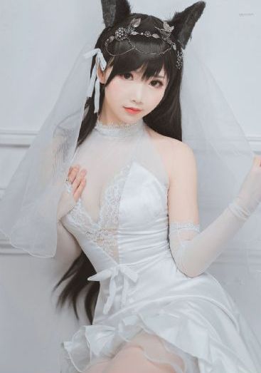 歌手2024在线观看
