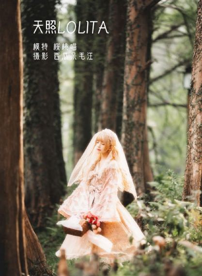 火影忍者在线观看